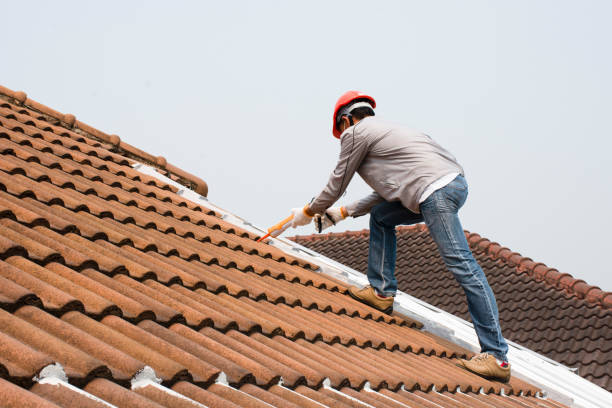 Best Roof Ventilation Installation  in , MT